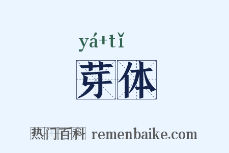 芽体是什么意思的图片